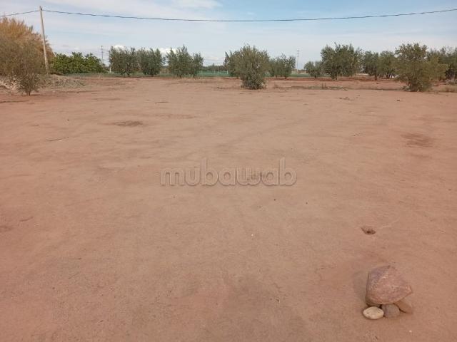 Terrain vente