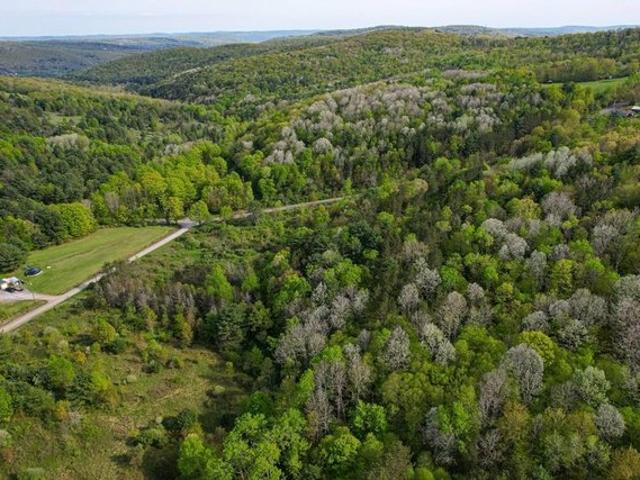Land for sale in Barton, New York