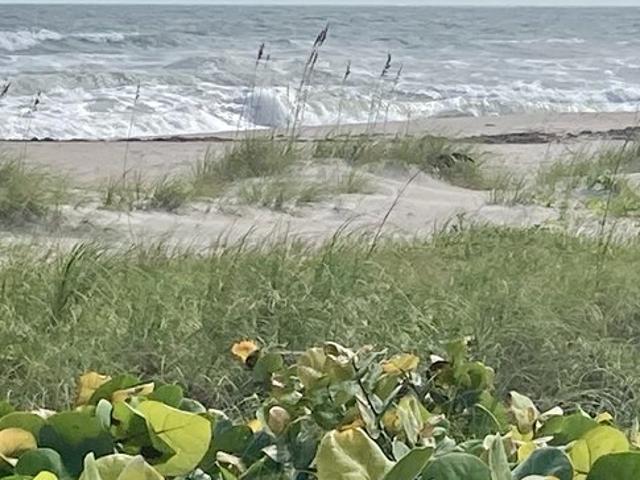 Condo for rent in Florida