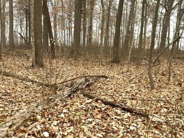 Land for sale in Markle, Indiana