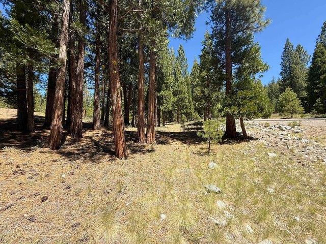 Land for sale in Portola, California