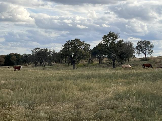 Land for sale in Brady, Texas