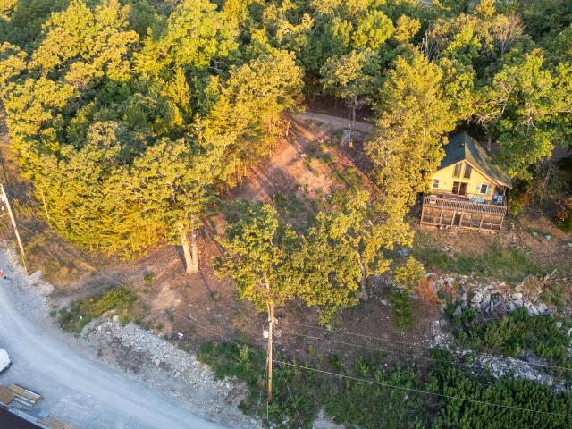 Land for sale in Stone, Missouri