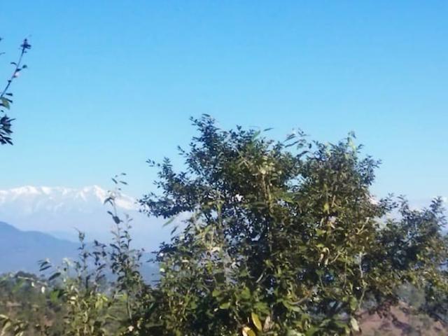 Land for sale in Almora, Uttarakhand