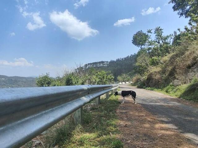 Land for sale in Uttarakhand