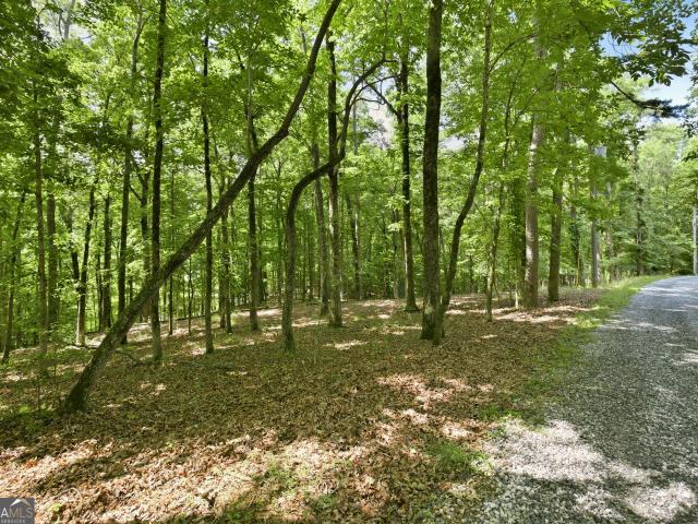 Land for sale in Demorest, Georgia