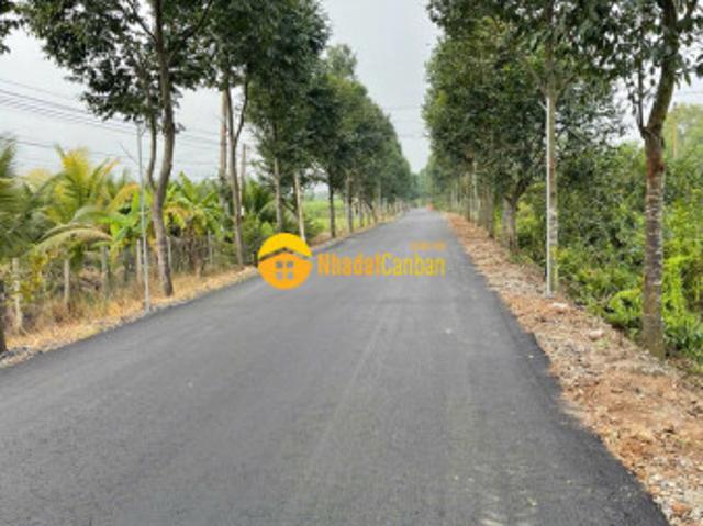 Mặt bằng bán