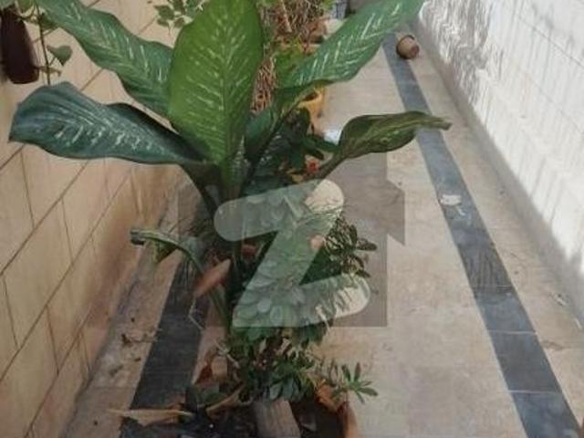 House for sale in Saddar Town, North Waziristan