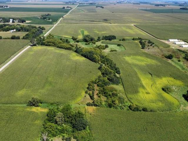 Land for sale in Winnebago, Minnesota