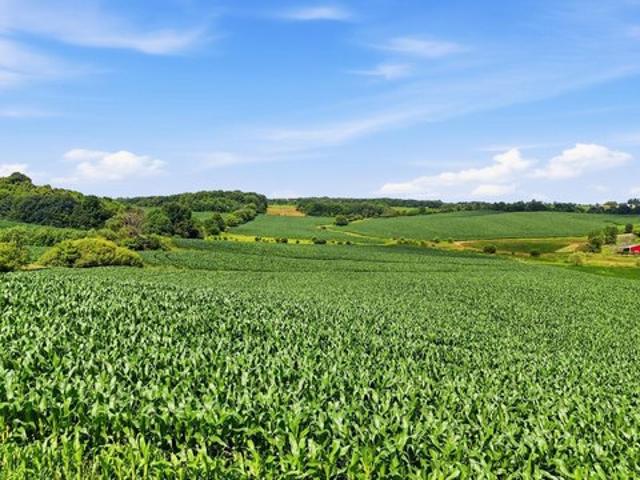 Land for sale in Saint Croix, Wisconsin