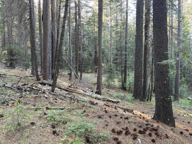Land for sale in Nevada City, California