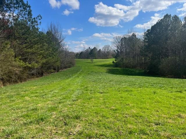 Land for sale in Gilmer, Georgia
