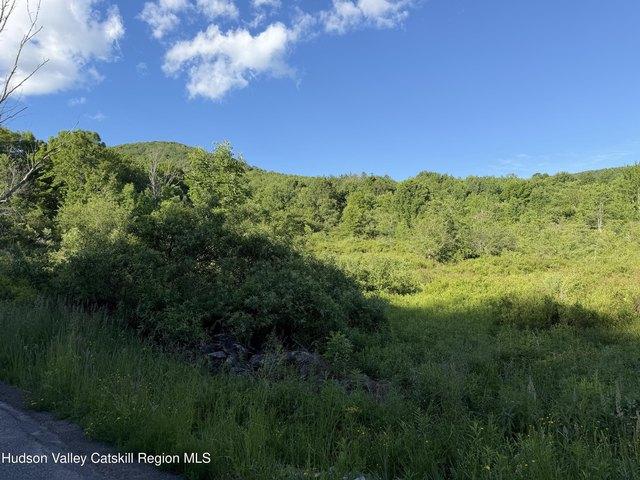 Land for sale in New York