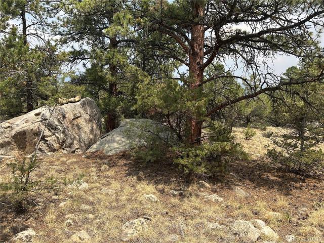 Land for sale in Buena Vista