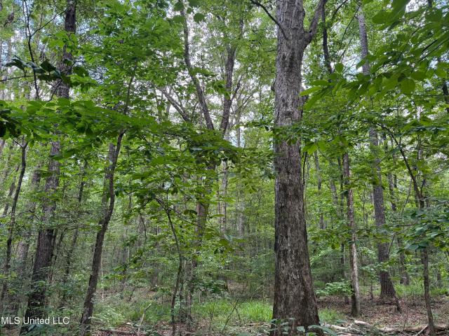 Land for sale in Hazlehurst