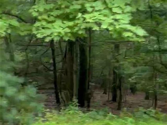 Property for sale in Beach Haven, Pennsylvania