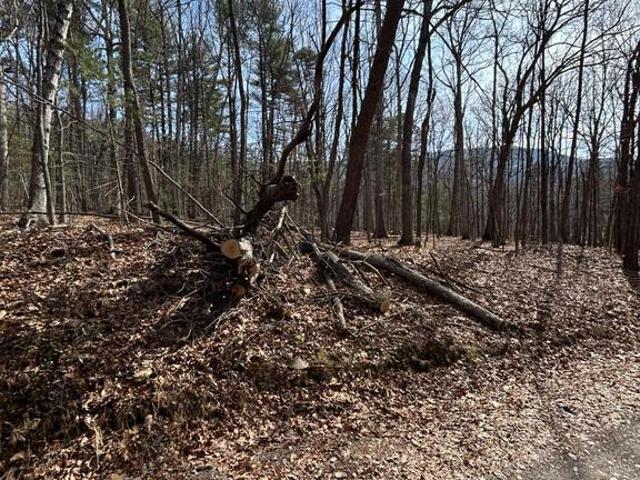 Land for sale in Page County, Virginia