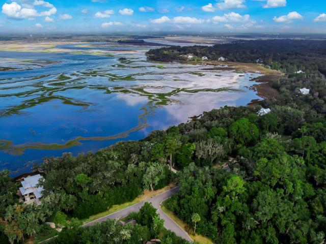 Land for sale in Georgia