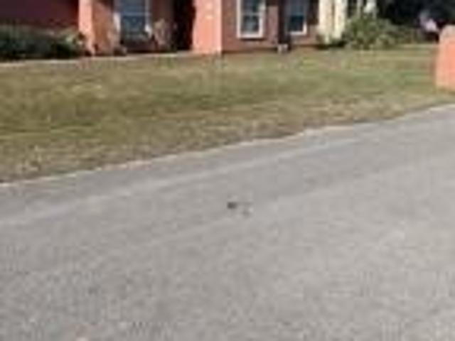 House for rent in Panama City Beach, Florida