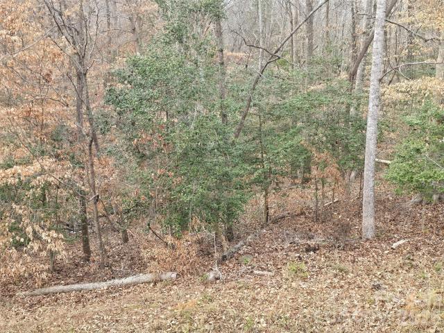 Land for sale in Troy, North Carolina