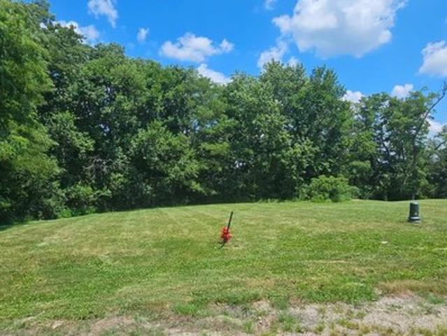 Land for sale in Williamsfield, Illinois