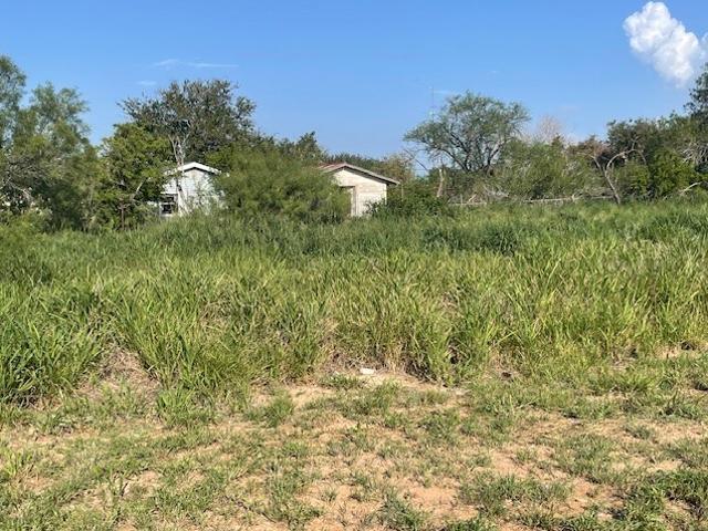 Land for sale in Hebbronville, Jim Hogg County