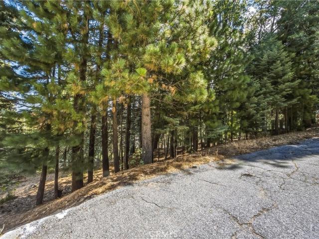 Land for sale in Cedar Glen, California