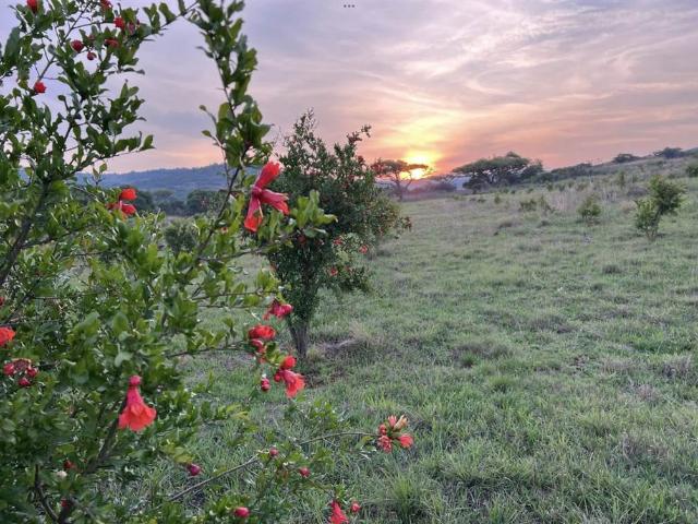 Farm for sale in Dundee, Kwazulu-natal