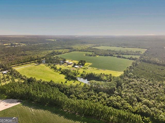 Land for sale in Alapaha, Georgia