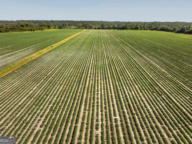 Land for sale in Alapaha, Berrien County