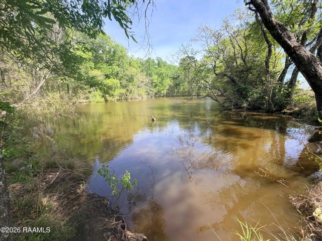Land for sale in Elton, Louisiana