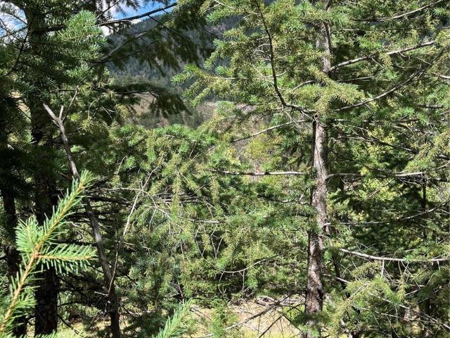 Land for sale in Black Hawk, Gilpin County