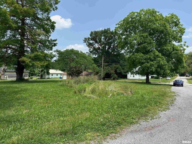 Land for sale in Christopher, Illinois