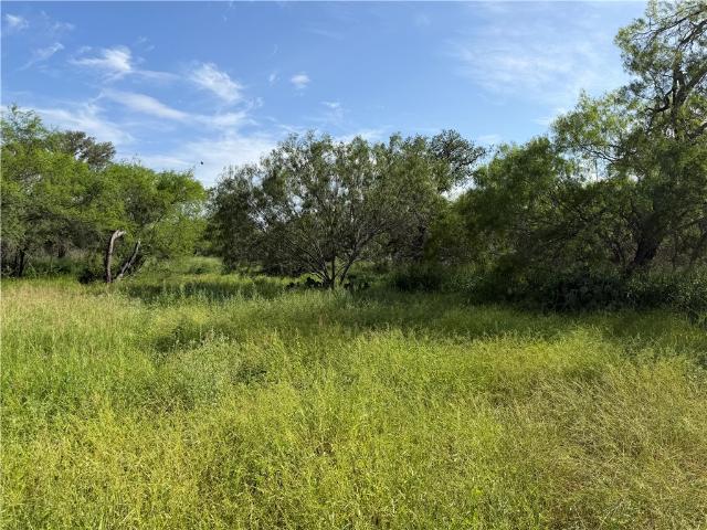 Farm for sale in George West, Texas