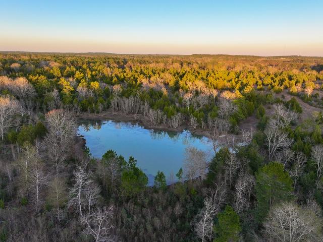 Farm for sale in Polk, Texas
