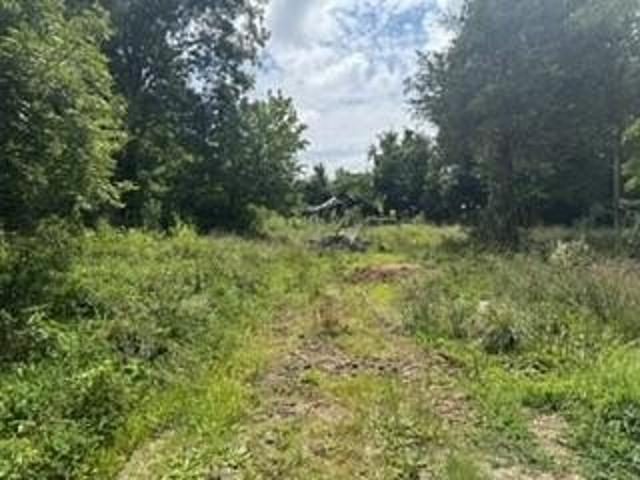Land for sale in Burnside, Kentucky