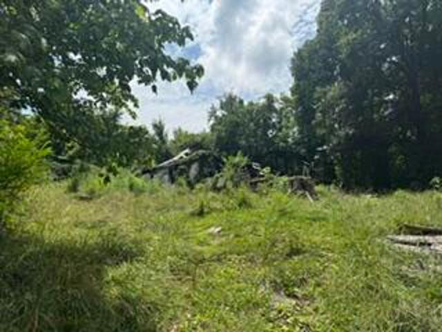 Land for sale in Burnside, Kentucky