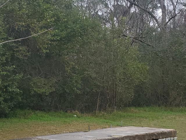 Land for sale in Worth, Georgia