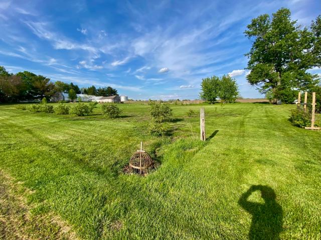 Land for sale in Bureau, Illinois