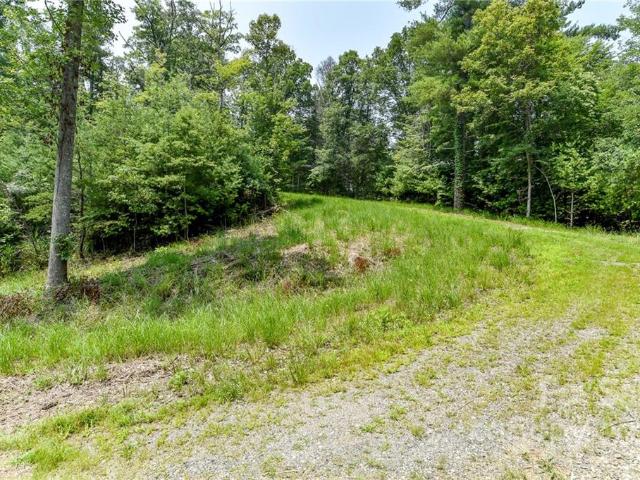 Land for sale in Marshall, North Carolina