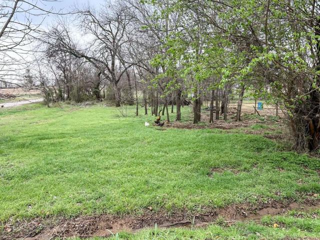 Land for sale in Cisco, Texas