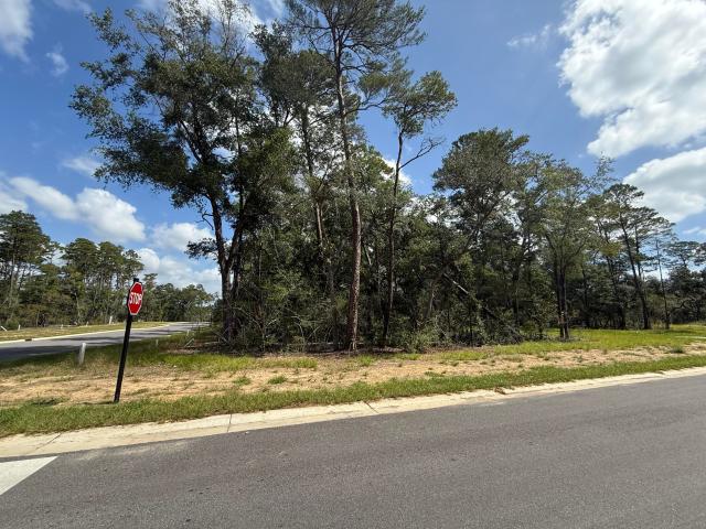 Land for sale in Niceville, Florida