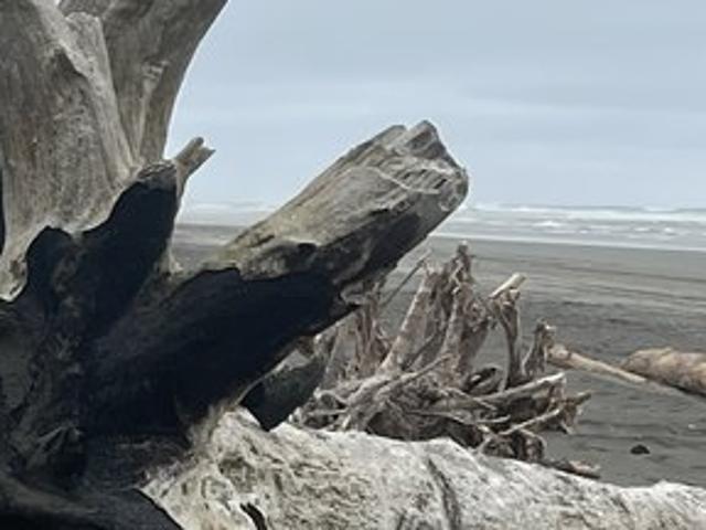 House for rent in Ocean Shores, Washington