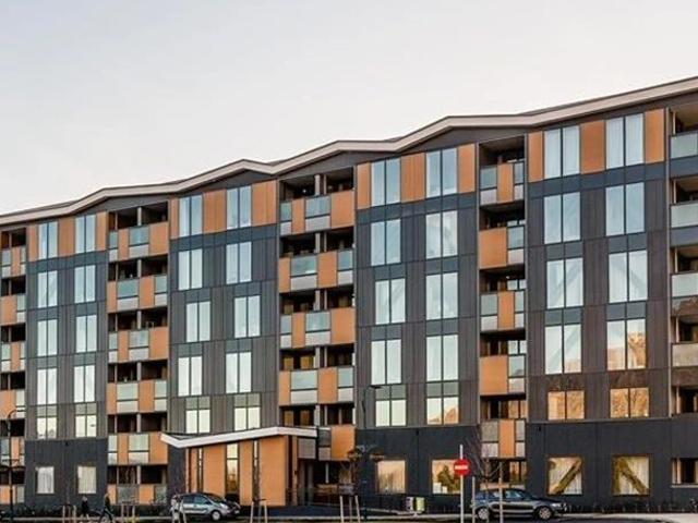 Apartment for rent in Otakou