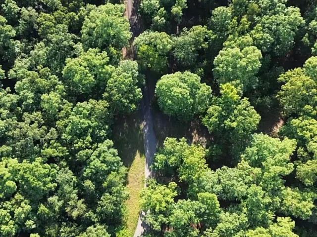 Land for sale in Ark