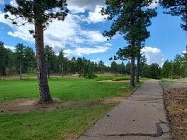 Land for sale in Red Feather Lakes, Colorado