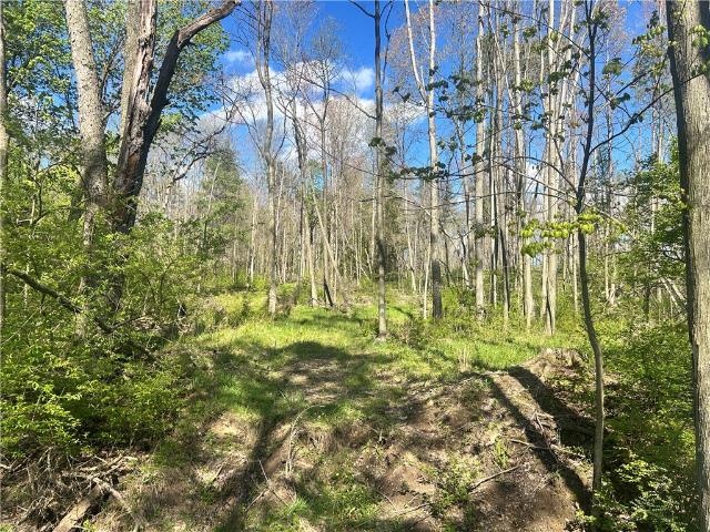 Land for sale in Pennsylvania