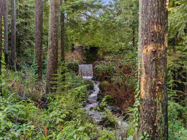 Property for sale in Anmore, British Columbia