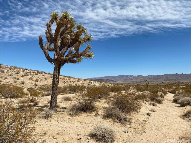 Land for sale in Joshua Tree, California