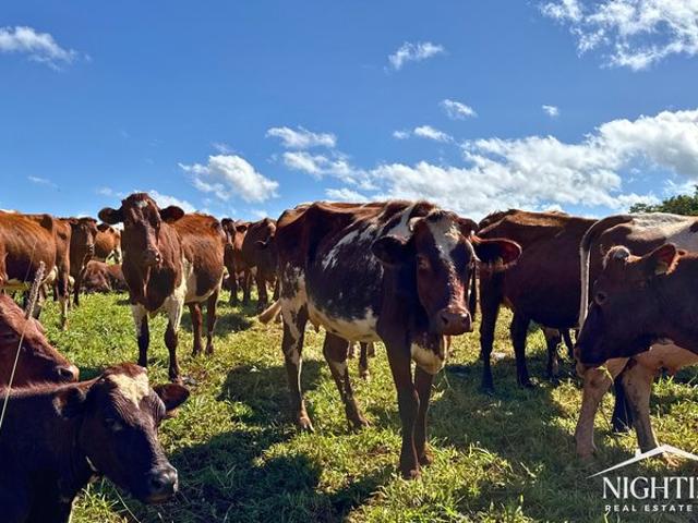 Property for sale in Tablelands, Queensland